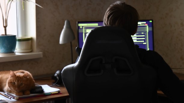 少年玩家在家玩FPS视频游戏，旁边有一只红猫图片下载