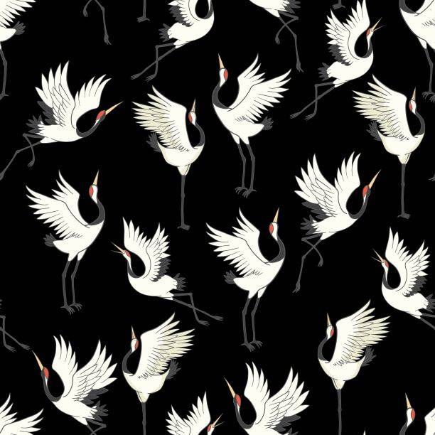 无缝图案，背景与热带鸟类。白鹭，凤头鹦鹉。彩色和轮廓设计在海军蓝色的背景。矢量插图。孤立在黑色背景上。图片下载