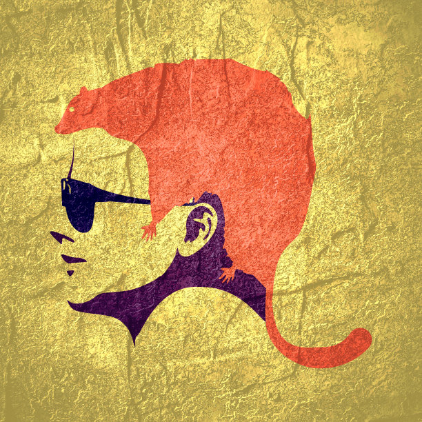 抽象的女孩的发型。石头纹理。人类和动物图片下载