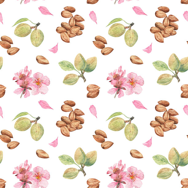 杏仁坚果(成熟和绿色的未成熟)和杏仁花用水彩画。无缝模式上的白色孤立背景。春天和夏天的新鲜艺术品;适合农家乐爱好者。图片下载