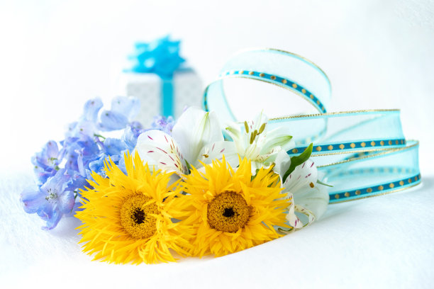 黄色非洲菊花束----蜘蛛花型——像太阳花图片下载