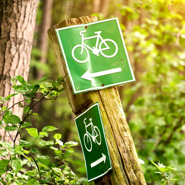 穿过森林的自行车道的标志，白色自行车的绿色标志和弯曲的风化木柱上的箭头图片下载