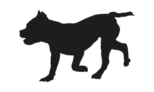 黑狗轮廓。奔跑的美国恶霸小狗。宠物的动物。孤立在白色背景上。图片下载