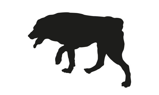 黑狗轮廓。奔跑的中亚牧羊犬小狗。宠物的动物。孤立在白色背景上。图片下载