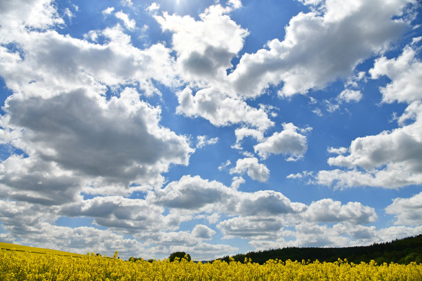 油菜田上的云剧图片下载
