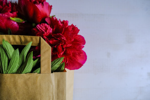 一束红色的牡丹在购物袋的特写在白色的背景。前视图。副本的空间。节日，生日，购物，促销，母亲节模型图片下载