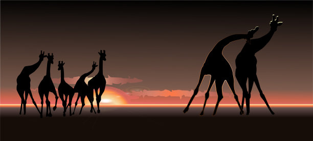 长颈鹿在日落时分图片下载