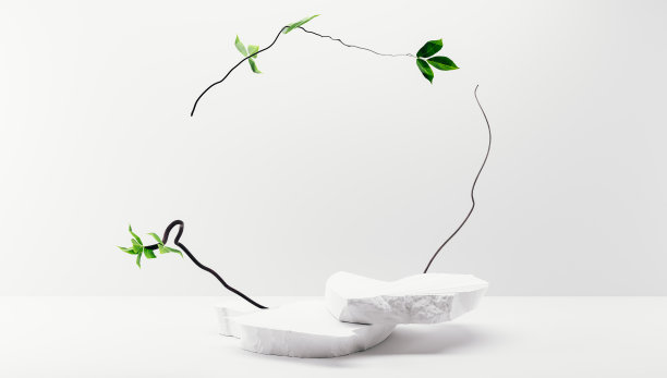 产品展示平台采用风水日式风格，灯光背景以石头和植物为主。3 d渲染。图片下载