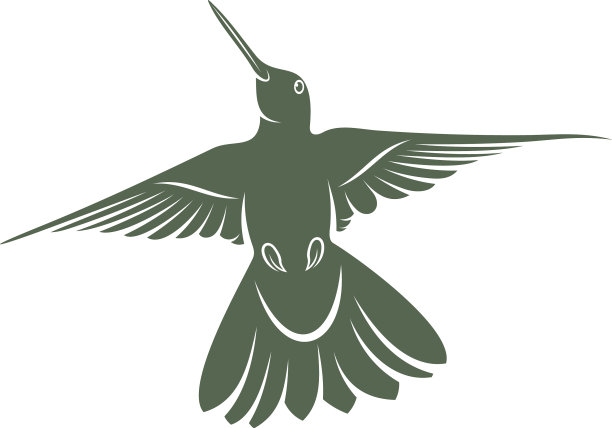 蜂鸟设计创意蜂鸟标志图片下载