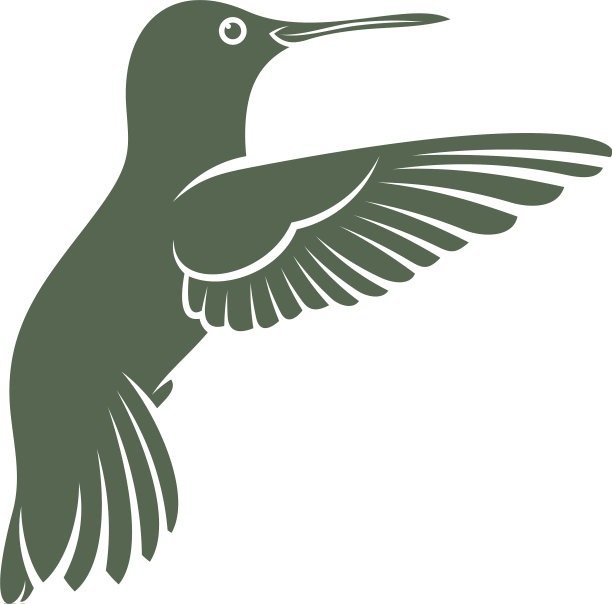 蜂鸟设计创意蜂鸟标志图片下载