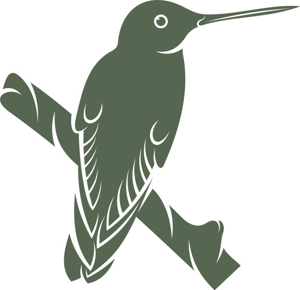 蜂鸟设计创意蜂鸟标志图片下载