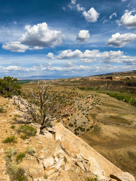 科罗拉多河在干旱高沙漠气候景观摄影系列图片下载