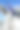 真正的独角兽马图片下载