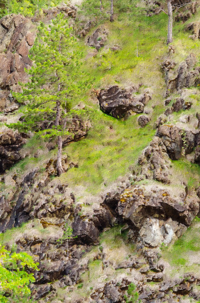 以山腰、松树为主题的油画山水画图片下载