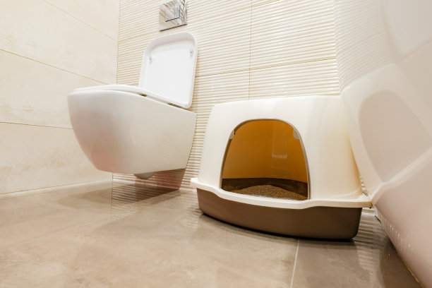 戴兜帽的猫砂盘靠近人类的马桶图片下载