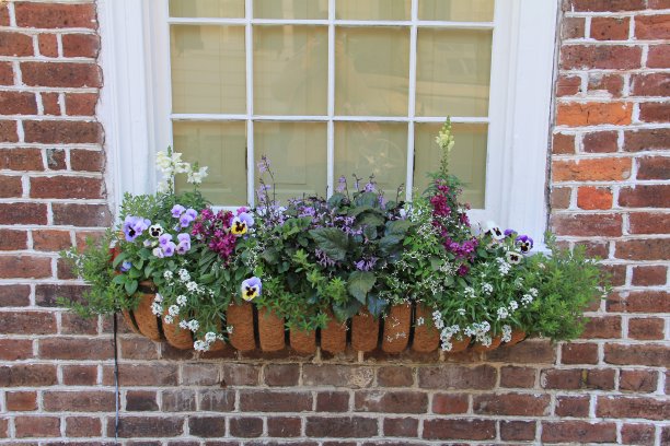 窗台上的花盆箱安排图片下载