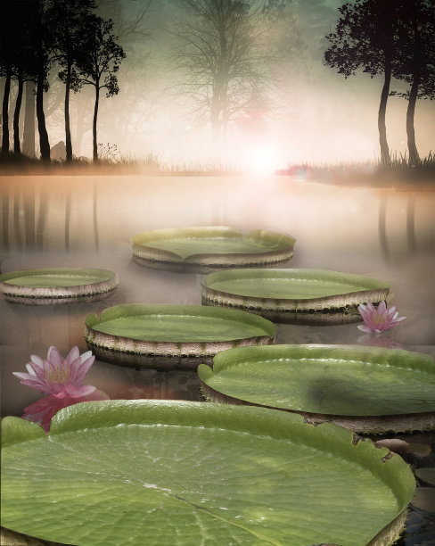 超现实主义的涅努法阶段在梦中图片下载