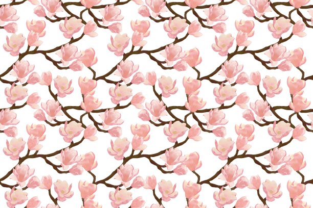 无缝分枝图案与粉红色木兰花在白色的背景图片下载