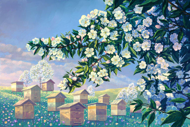 开花的春天树枝苹果树和蜂房。图片下载