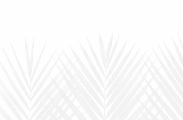 抽象背景与棕榈叶阴影图片下载