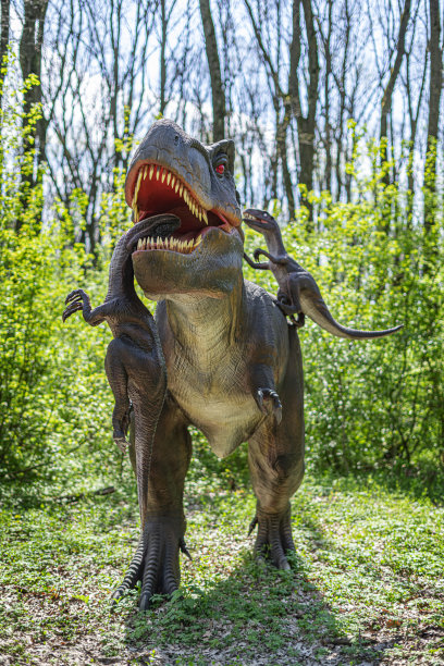 恐龙在丛林里。图片下载