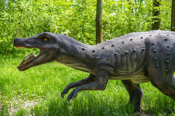 恐龙在丛林里。图片下载