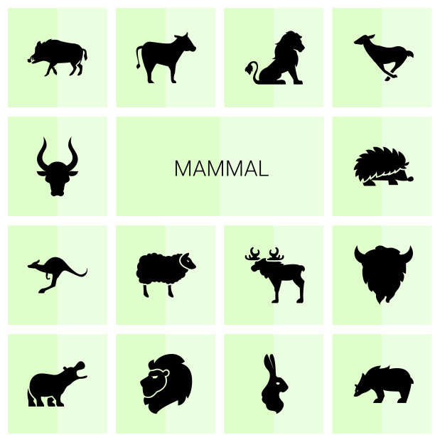 14个哺乳动物图标图片下载