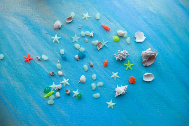 贝壳夏天背景。许多不同的贝壳，海星在蓝绿色的画笔下的背景。文本的地方图片下载