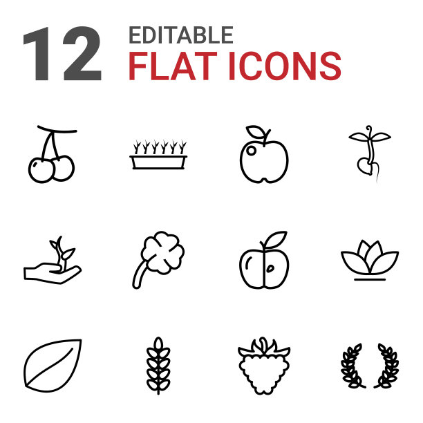 12叶图标图片下载