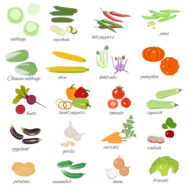设置蔬菜孤立的图像上的白色图片下载