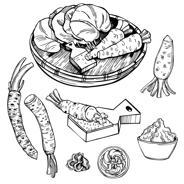 芥末、根和叶子。矢量插图。图片下载