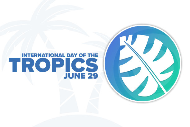国际热带日。6月29日。节日的概念。模板的背景，旗帜，卡片，海报与文字题词。向量EPS10插图。图片下载
