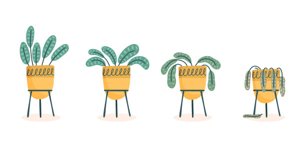 枯萎的阶段，花瓶里的一朵枯萎的花，没有浇水和照料的被遗弃的植物。鲜切花死亡。矢量插图，手绘有机平面风格图片下载