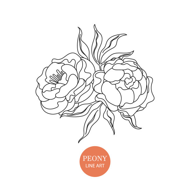 牡丹黑白线条插图图片下载