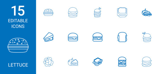 15生菜图标图片下载