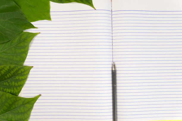文具。空白的笔记本和钢笔在明亮的绿叶背景上。本空间图片下载