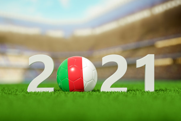 2021年，意大利足球在草地上比赛图片下载