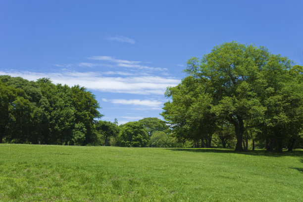 格林公园图片下载