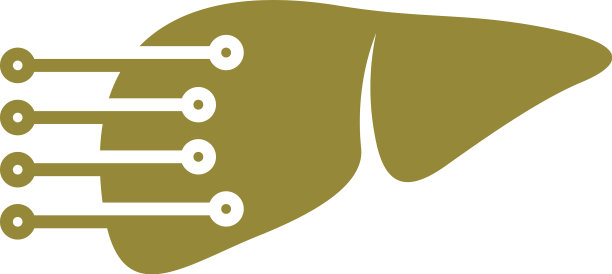 数字肝脏标志模板创意肝脏标志图片下载