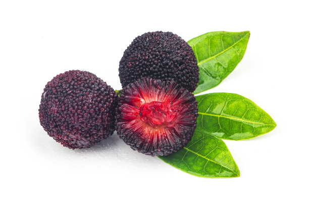 白色背景上的新鲜杨梅图片下载