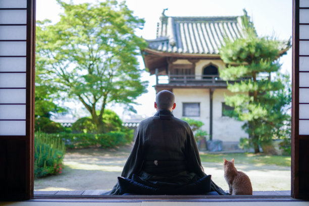 一张日本和尚打坐的照片图片下载