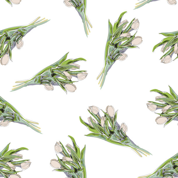 手绘无缝图案与白色郁金香上图片下载