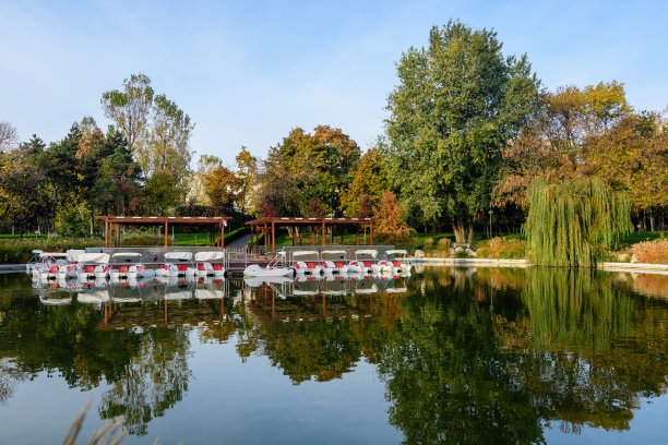 罗马尼亚首都布加勒斯特(Bucharest, Romania)的Drumul Taberei公园(也被称为Moghioros Park)，秋日清晨的日出时分，湖面和绿树黄树的景观图片下载
