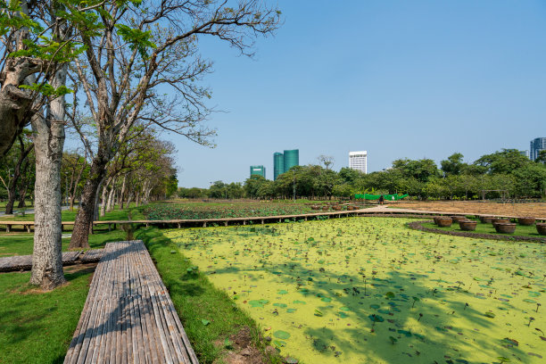 泰国曼谷公园图片下载