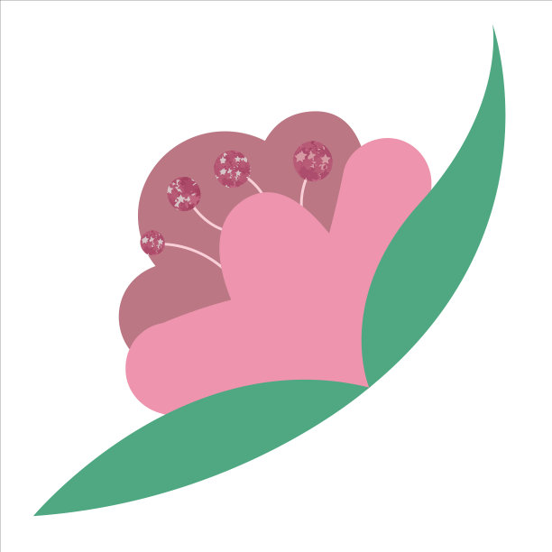 有光泽雄蕊的粉红色装饰性花图片下载