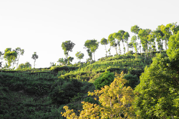 山坡和白色背景图片下载