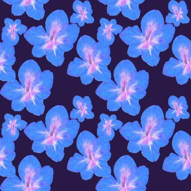 剑兰。插图，花的纹理。用于连续复制的无缝模式。花卉背景，照片拼贴为纺织品，棉布面料。用于墙纸、封面、印刷品图片下载