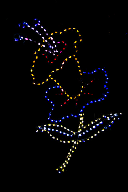在黑色背景上使用离散灯光的花的装饰颜色轮廓图片下载