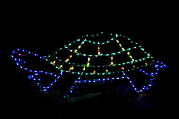 在黑色背景上使用离散灯光的海龟装饰色轮廓图片下载