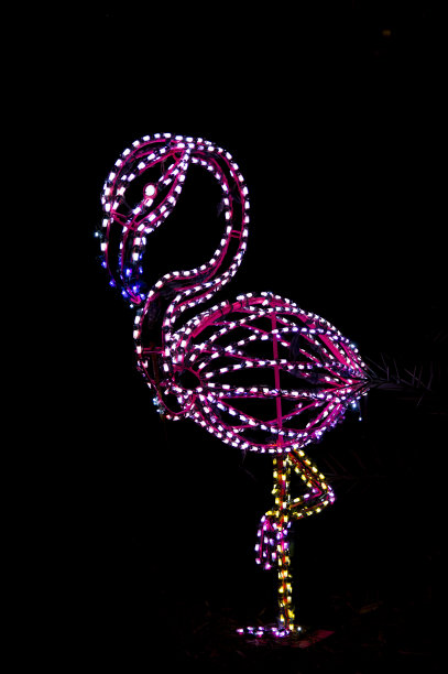 用离散光在黑色背景上的火烈鸟装饰颜色轮廓图片下载